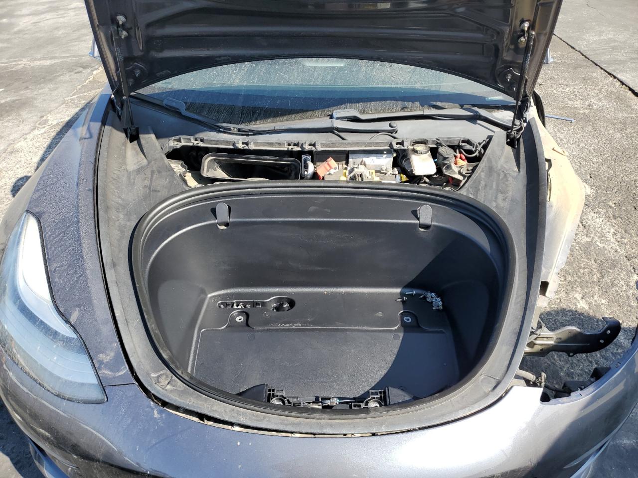 2019 Tesla Model 3 VIN: 5YJ3E1EA0KF356426 Lot: 80742585