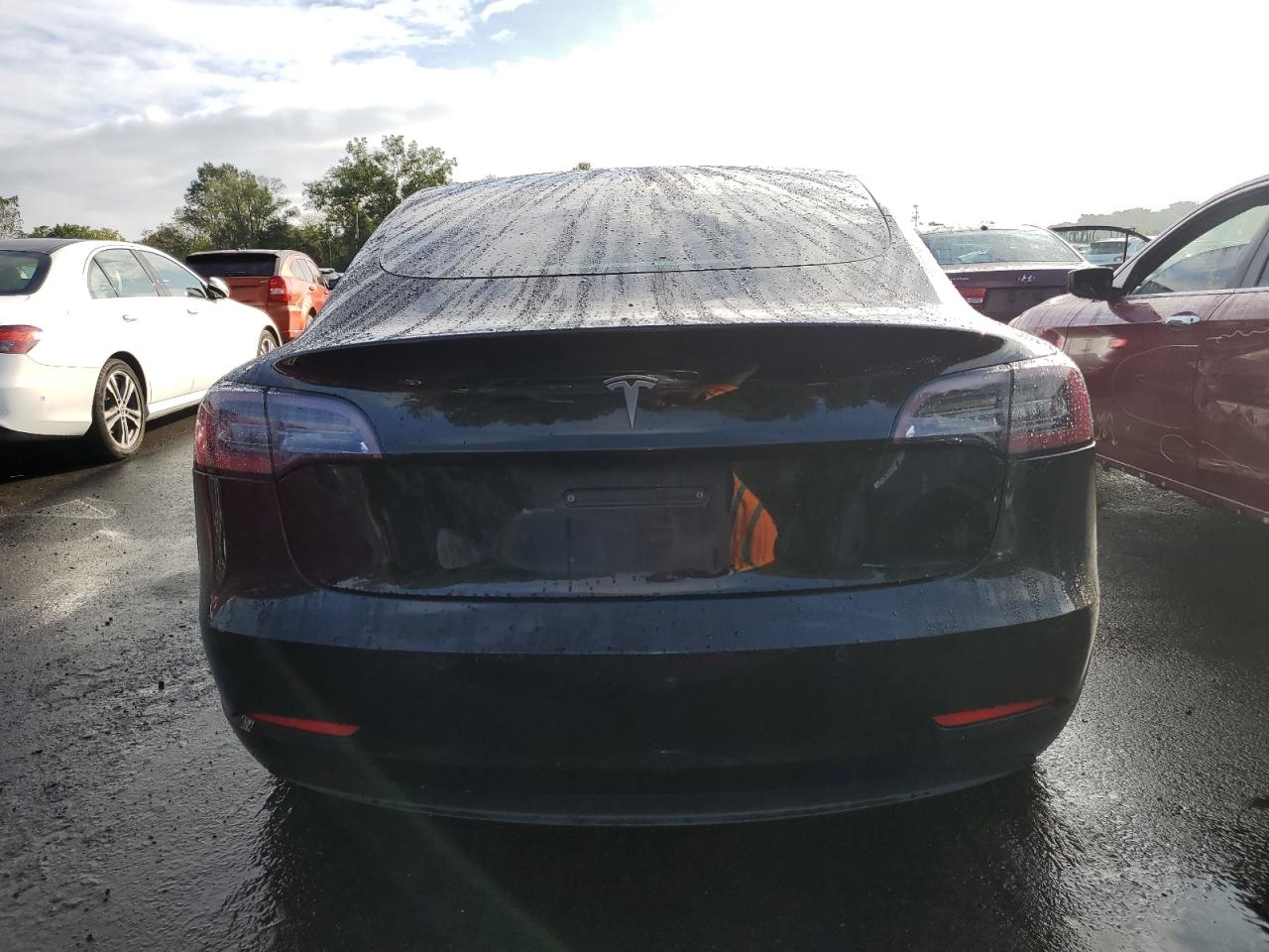 2019 Tesla Model 3 VIN: 5YJ3E1EA9KF396021 Lot: 81052715