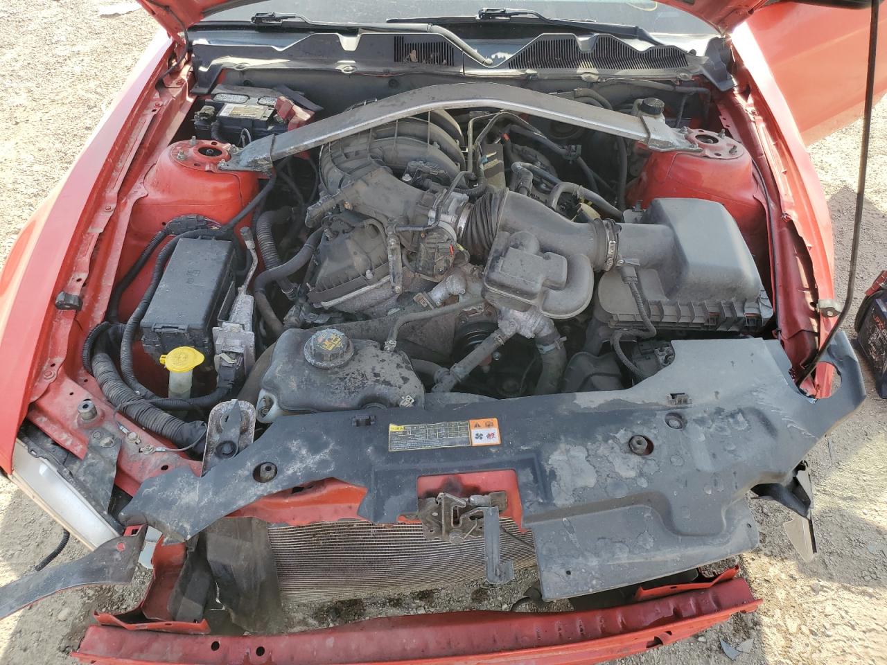 2012 Ford Mustang VIN: 1ZVBP8EM5C5279545 Lot: 81128445