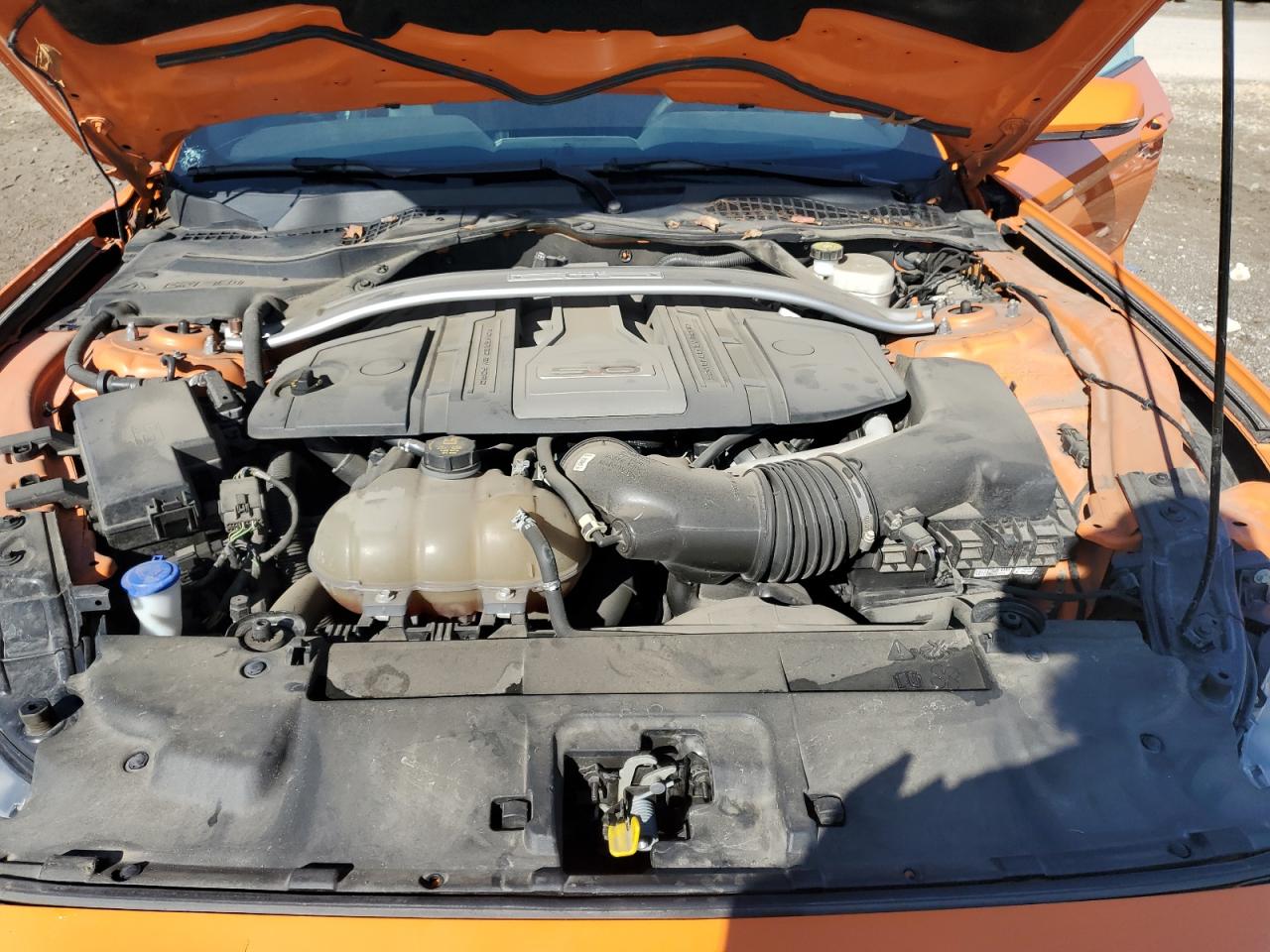 2020 Ford Mustang Gt VIN: 1FA6P8CF9L5126603 Lot: 81830415