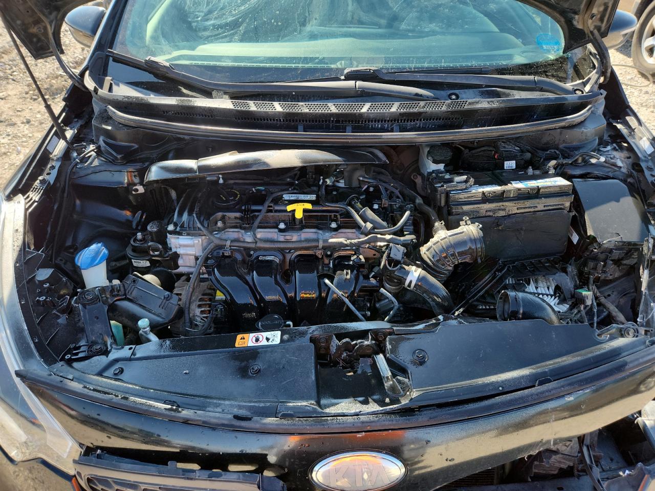 2014 Kia Forte Ex VIN: KNAFX4A81E5054660 Lot: 71114905