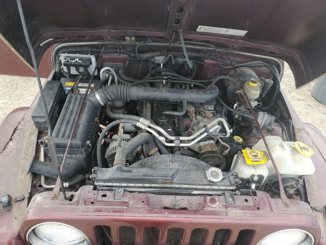 2003 Jeep Wrangler / Tj Sahara VIN: 1J4FA59S63P302987 Lot: 81738545