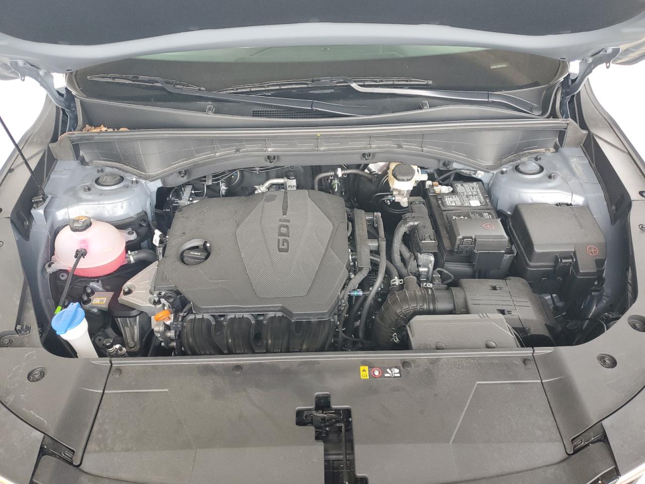 2025 Kia Sorento Lx VIN: 5XYRG4JC3SG361187 Lot: 82102545