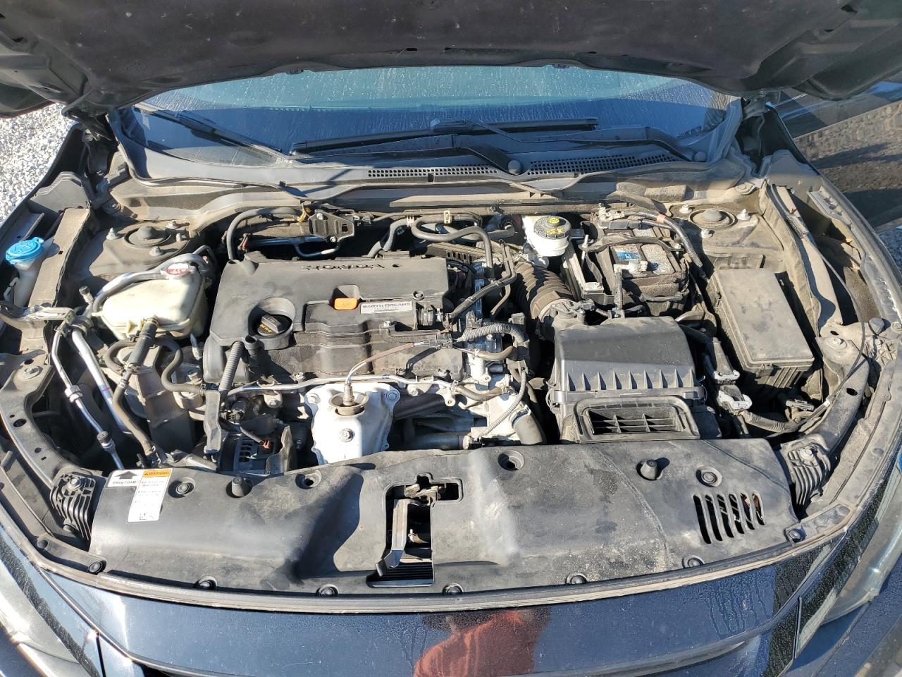 2019 Honda Civic Lx VIN: 2HGFC2F65KH514516 Lot: 80536445