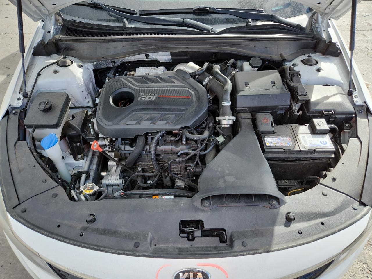 2019 Kia Optima Sxl VIN: 5XXGV4L24KG342136 Lot: 80322235