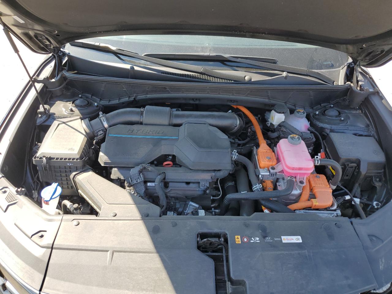 2024 Hyundai Tucson Limited VIN: KM8JECD15RU139746 Lot: 81848805