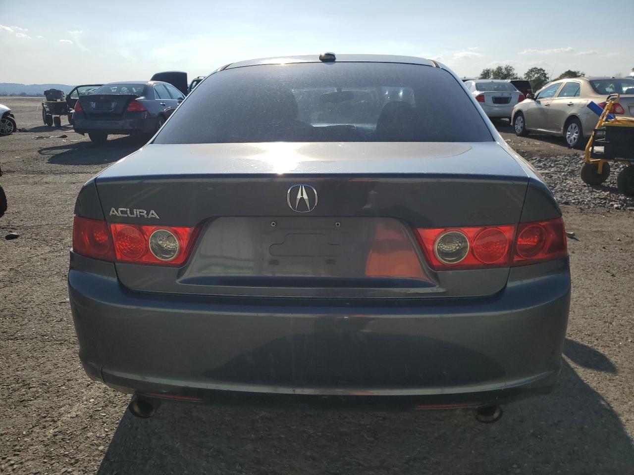 2006 Acura Tsx VIN: JH4CL96906C005672 Lot: 81597375