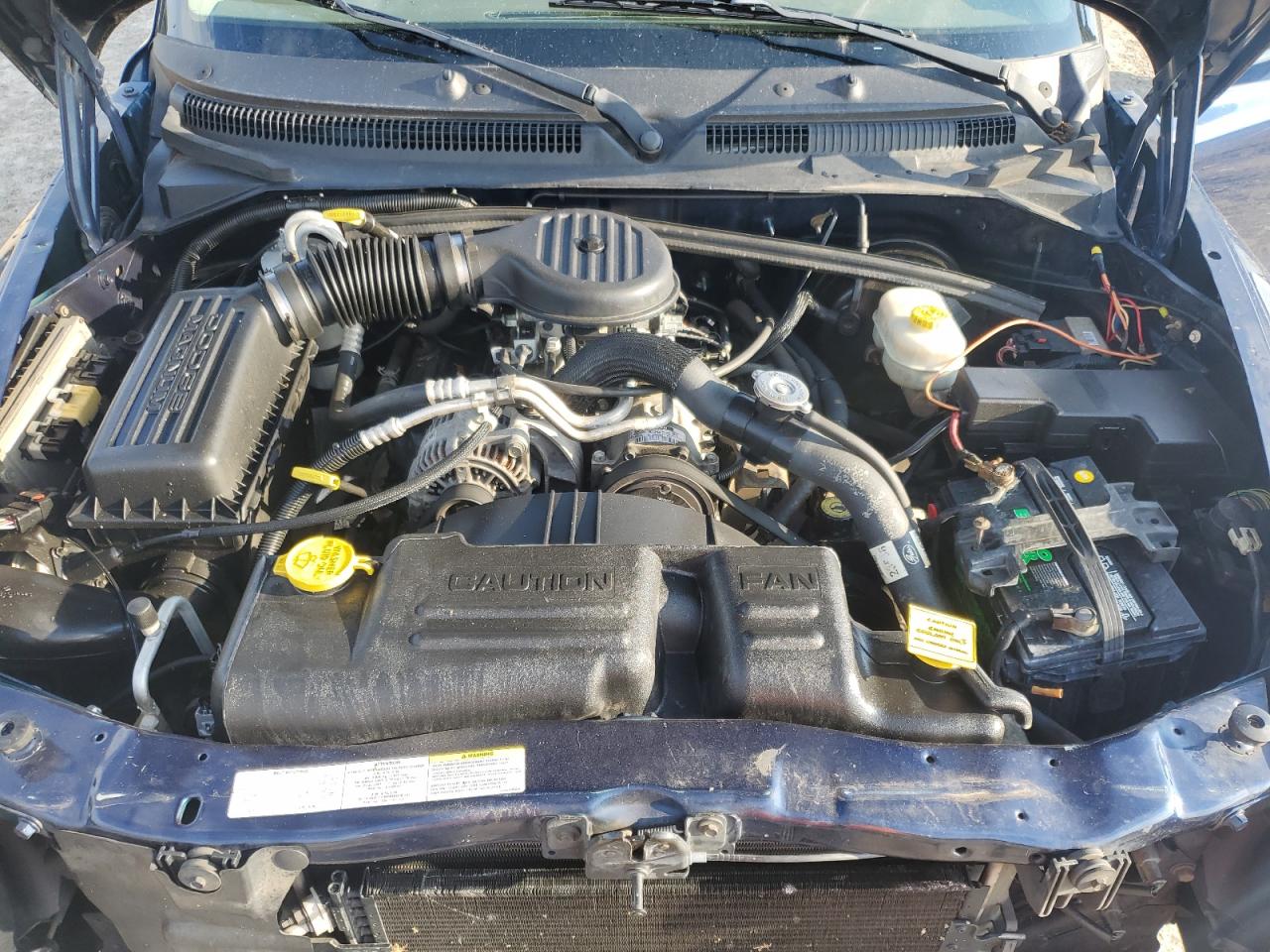 2003 Dodge Dakota Quad Sport VIN: 1D7HL38X43S381136 Lot: 71125365