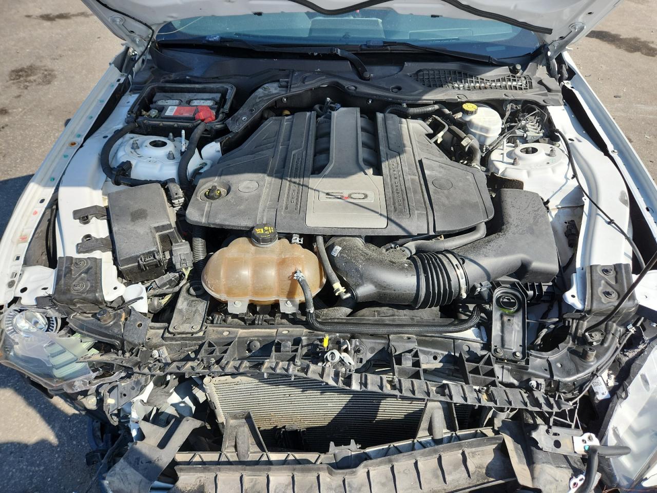 2019 Ford Mustang Gt VIN: 1FA6P8CF6K5116643 Lot: 83980215