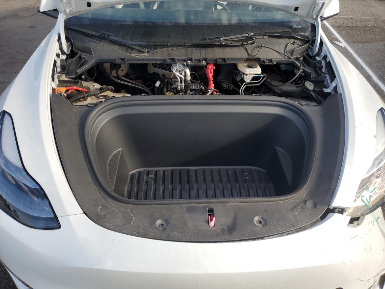 2024 Tesla Model Y VIN: 7SAYGAEE4RF176544 Lot: 81506075