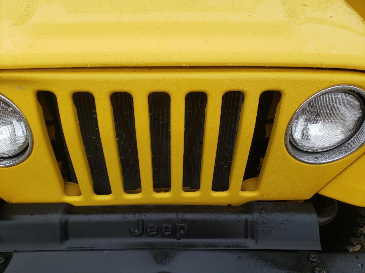 2002 Jeep Wrangler / Tj Se VIN: 1J4FA29P62P702606 Lot: 71967365