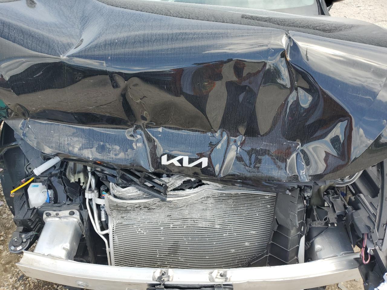 2025 Kia K5 Lxs VIN: KNAG24J77S5348389 Lot: 80610695