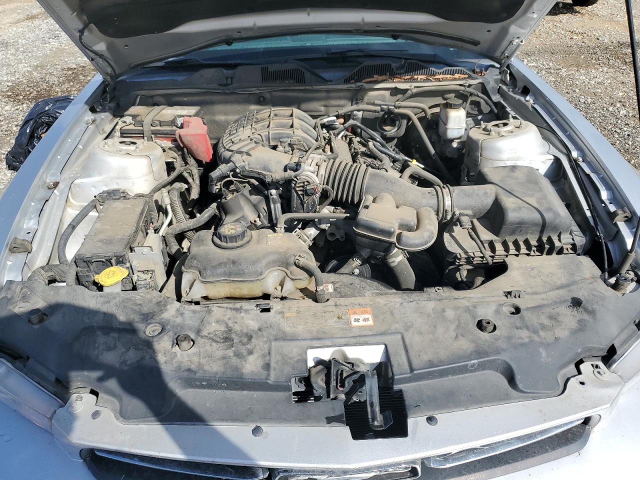 2011 Ford Mustang VIN: 1ZVBP8AM1B5121790 Lot: 81656725