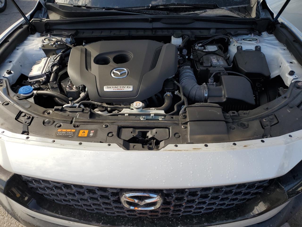 2024 Mazda Cx-50 Premium Plus VIN: 7MMVABEY9RN234344 Lot: 81331915