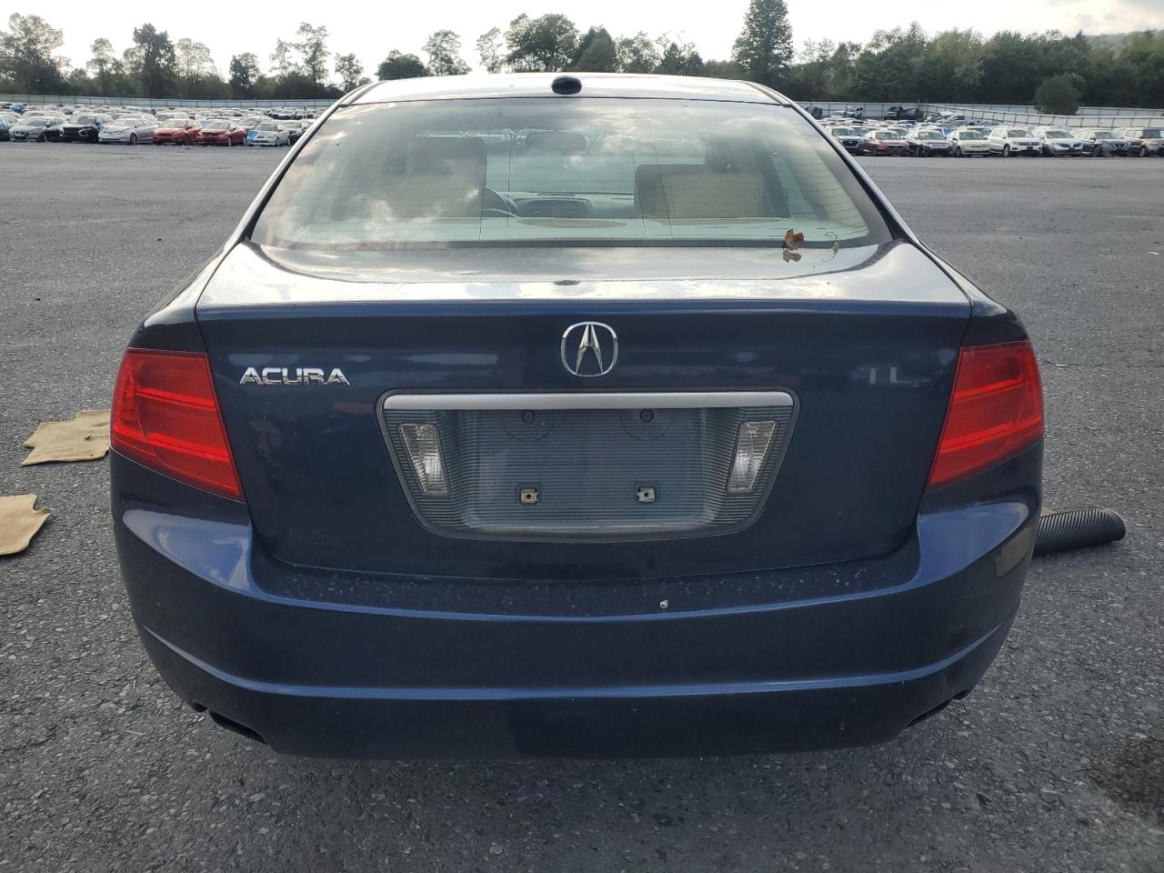 2004 Acura Tl VIN: 19UUA66244A057622 Lot: 80691465