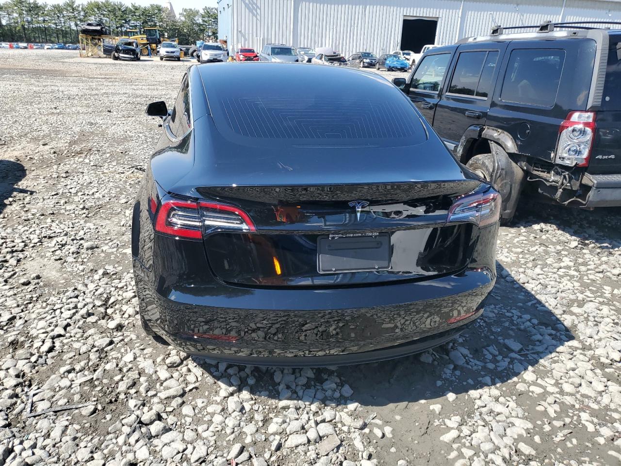 2020 Tesla Model 3 VIN: 5YJ3E1EA4LF504983 Lot: 71666675
