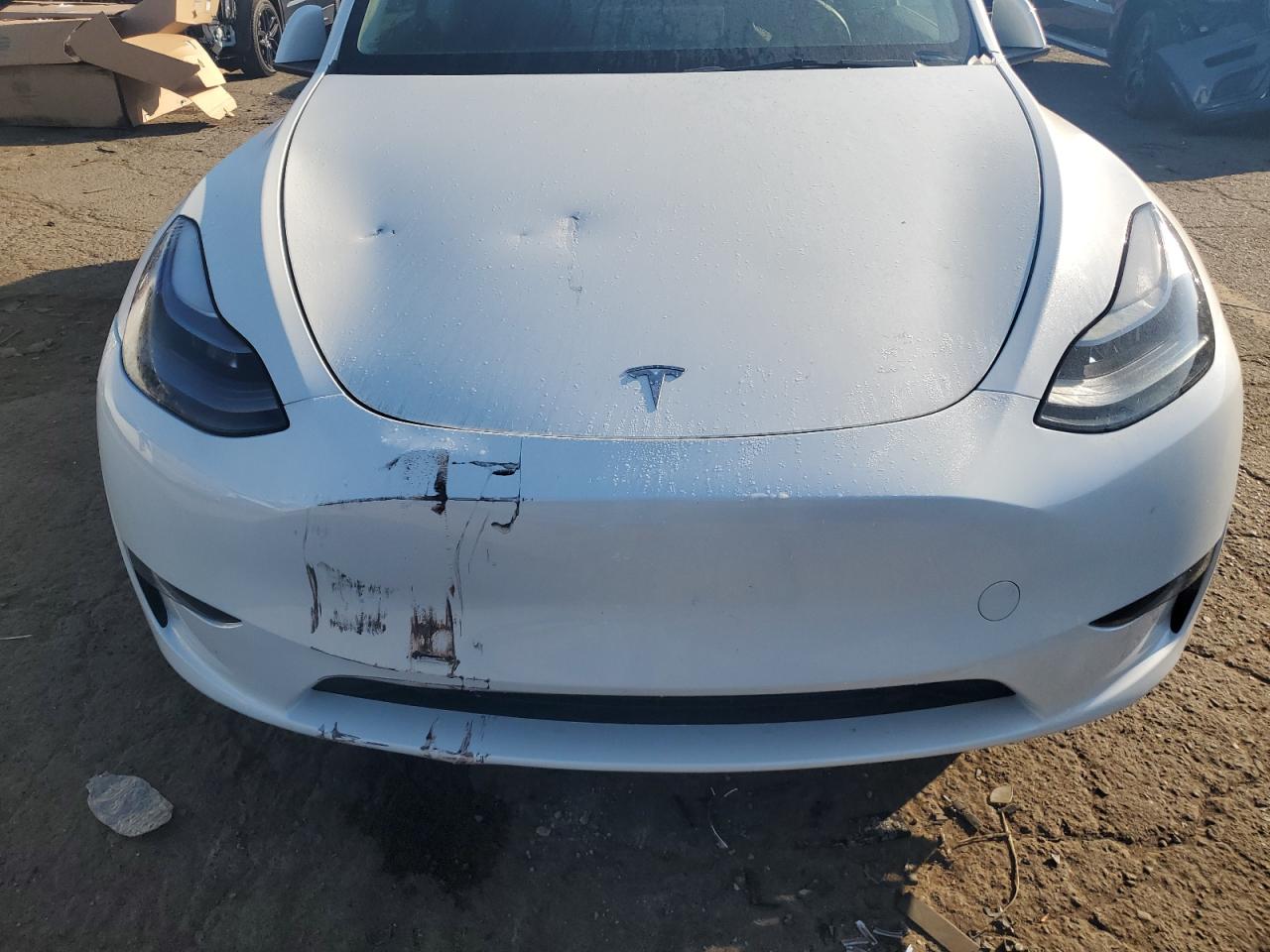 2023 Tesla Model Y VIN: 7SAYGDEE2PF760388 Lot: 80667025