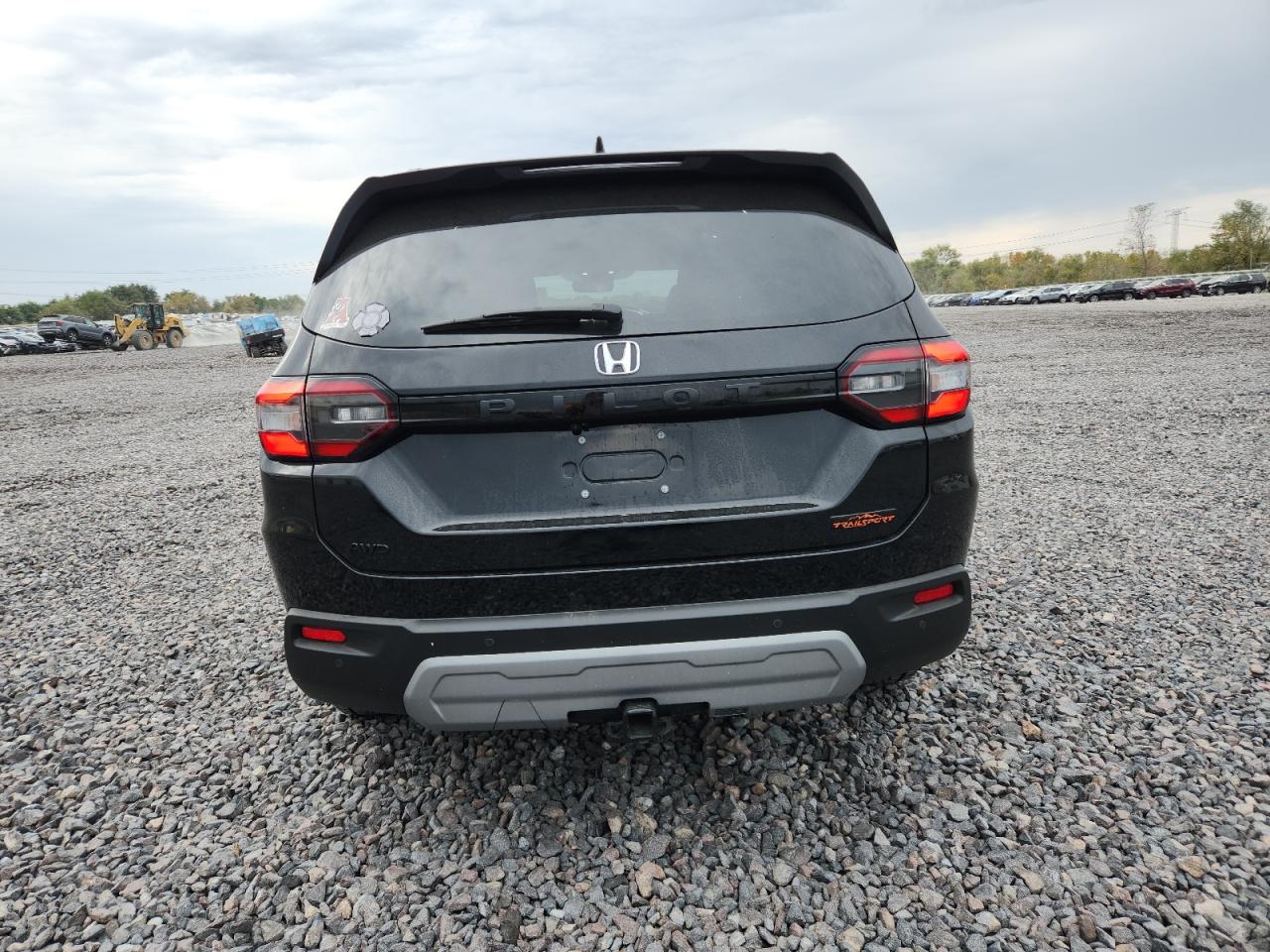 2023 Honda Pilot Trailsport VIN: 5FNYG1H64PB046004 Lot: 81398925