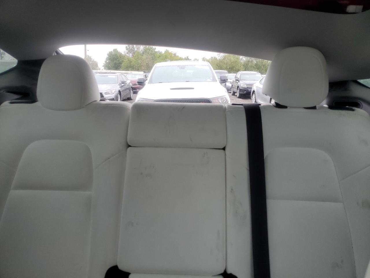 2024 Tesla Model Y VIN: 7SAYGDED4RF045929 Lot: 84024065