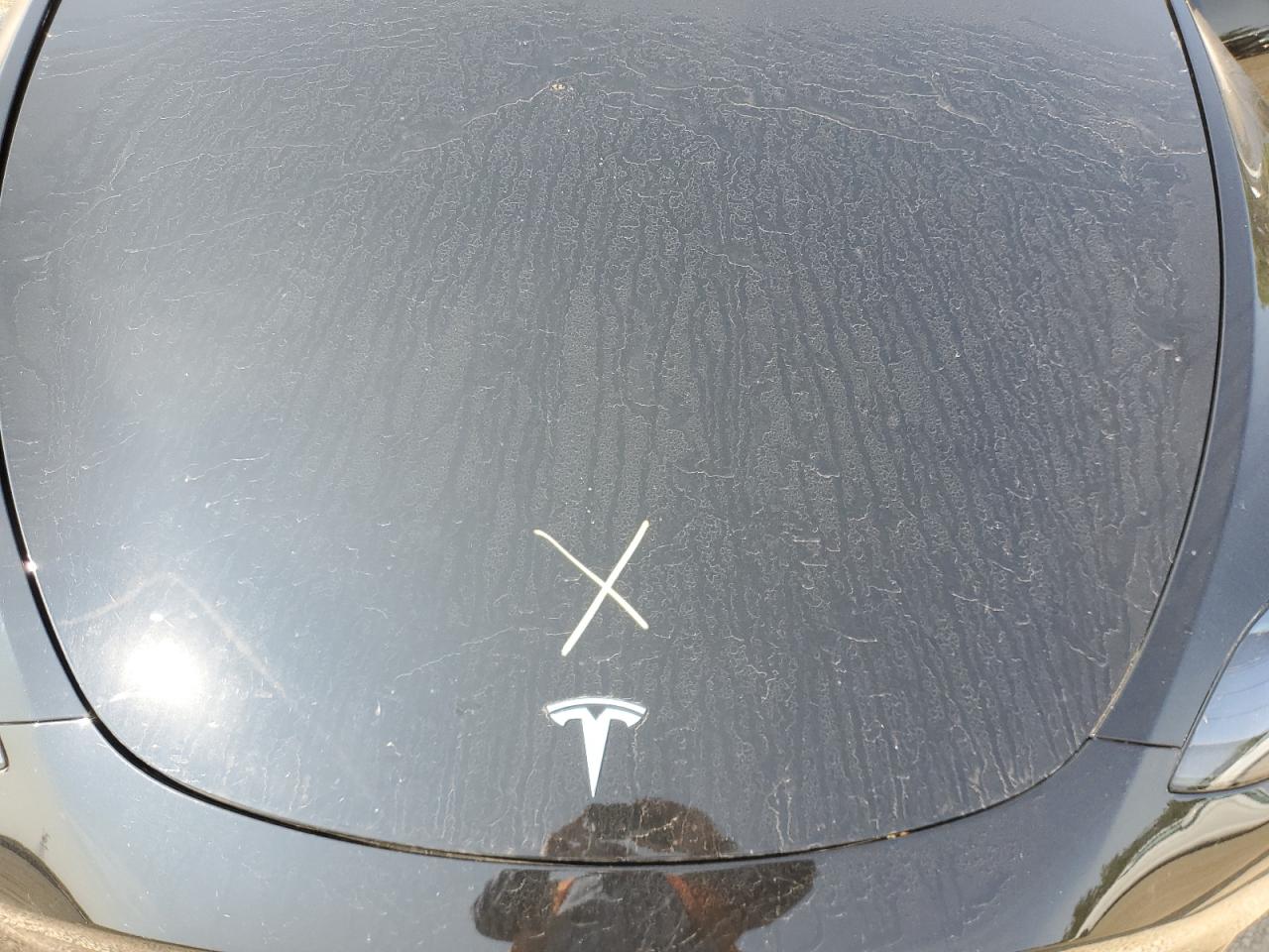 2023 Tesla Model Y VIN: 7SAYGAEE7PF755234 Lot: 80069215