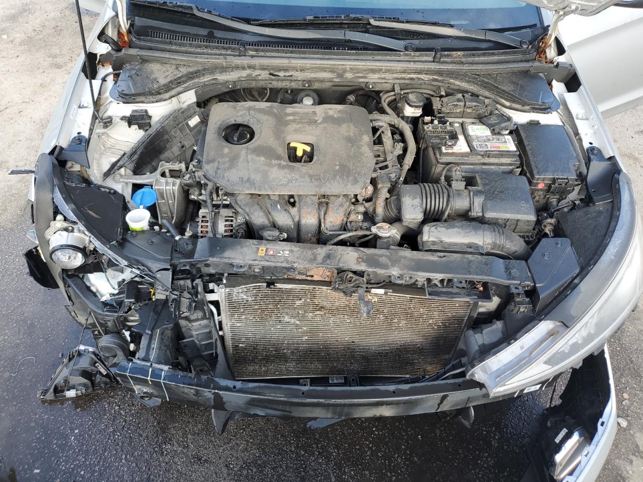 2020 Hyundai Elantra Se VIN: KMHD74LF1LU926825 Lot: 81186345