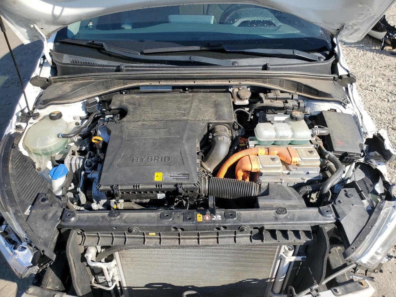 2020 Hyundai Ioniq Blue VIN: KMHC65LC5LU209886 Lot: 82036295