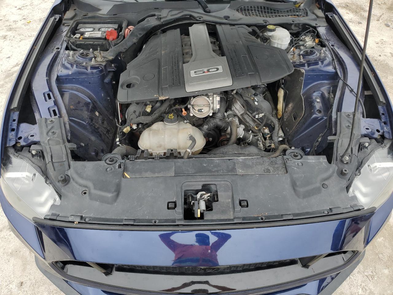 2019 Ford Mustang Gt VIN: 1FA6P8CF0K5112376 Lot: 81035465