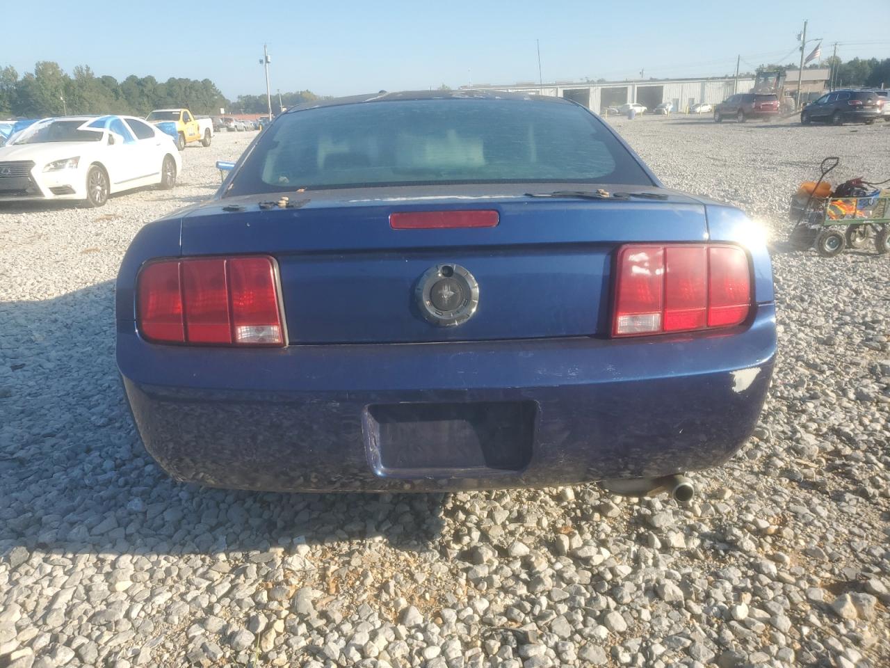 2009 Ford Mustang VIN: 1ZVHT80N495138500 Lot: 80363915