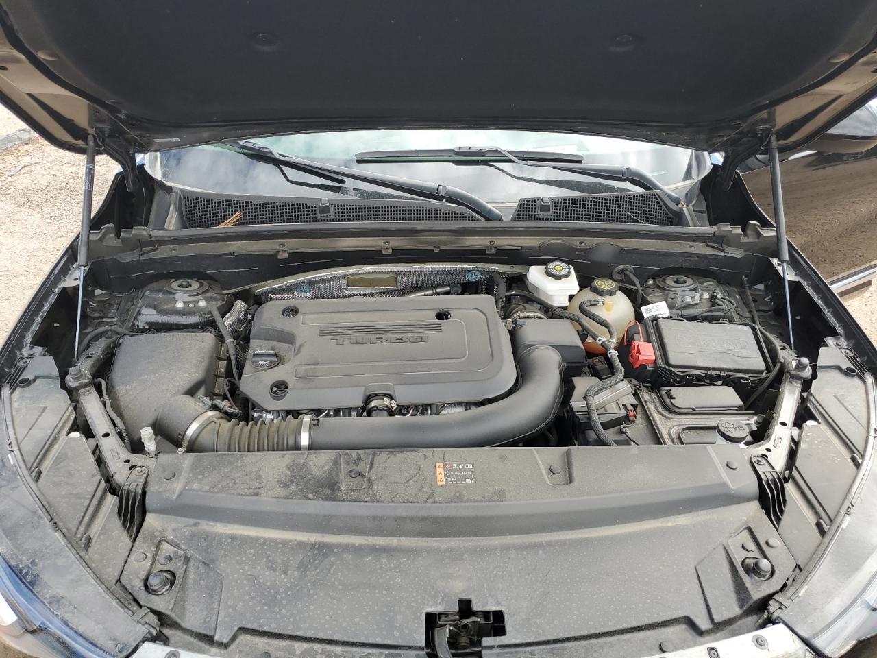 2023 Buick Envision Avenir VIN: LRBFZSR47PD065415 Lot: 81613135