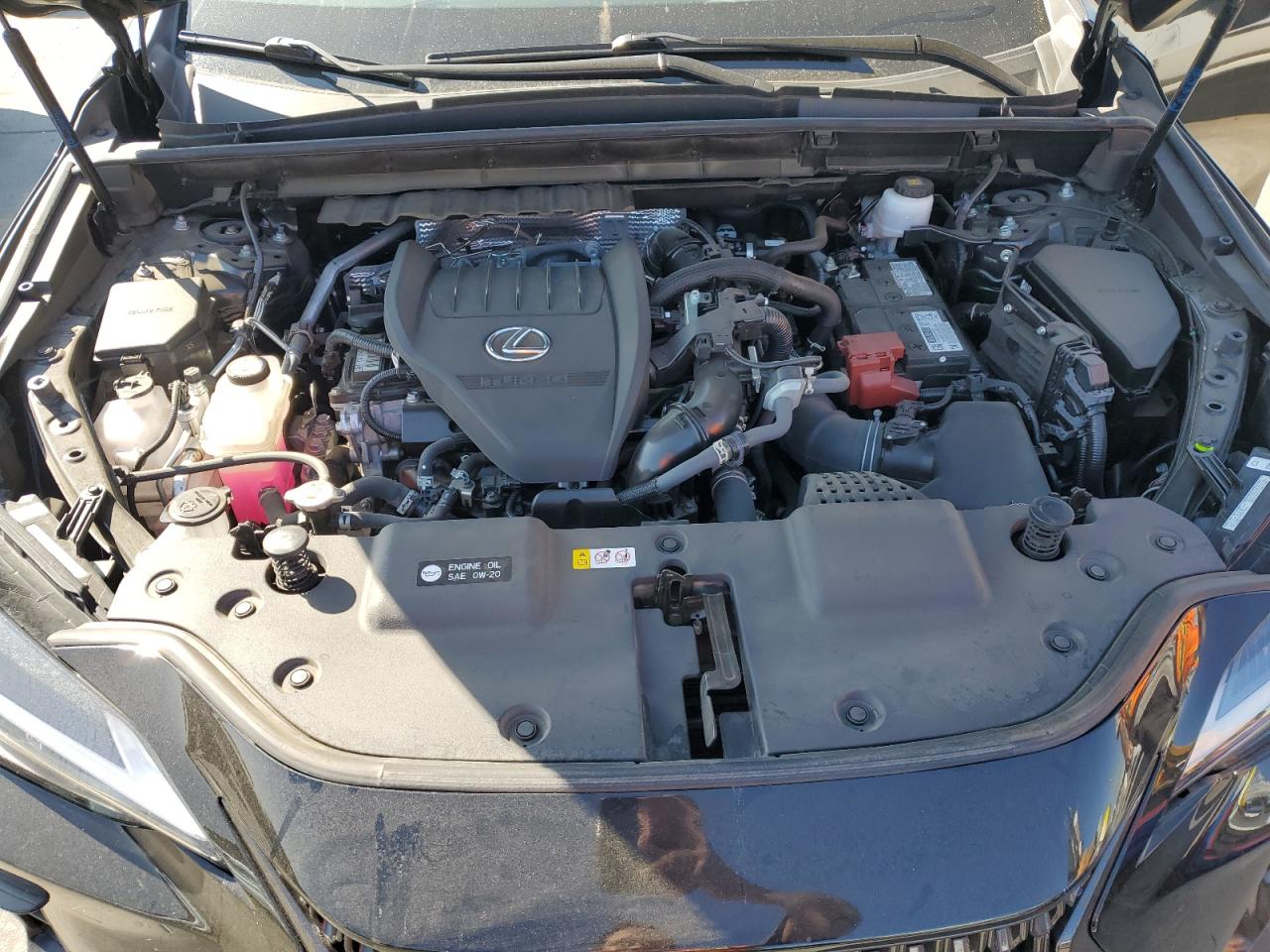 2023 Lexus Nx 350 VIN: 2T2AGCEZ8PC024163 Lot: 80018845