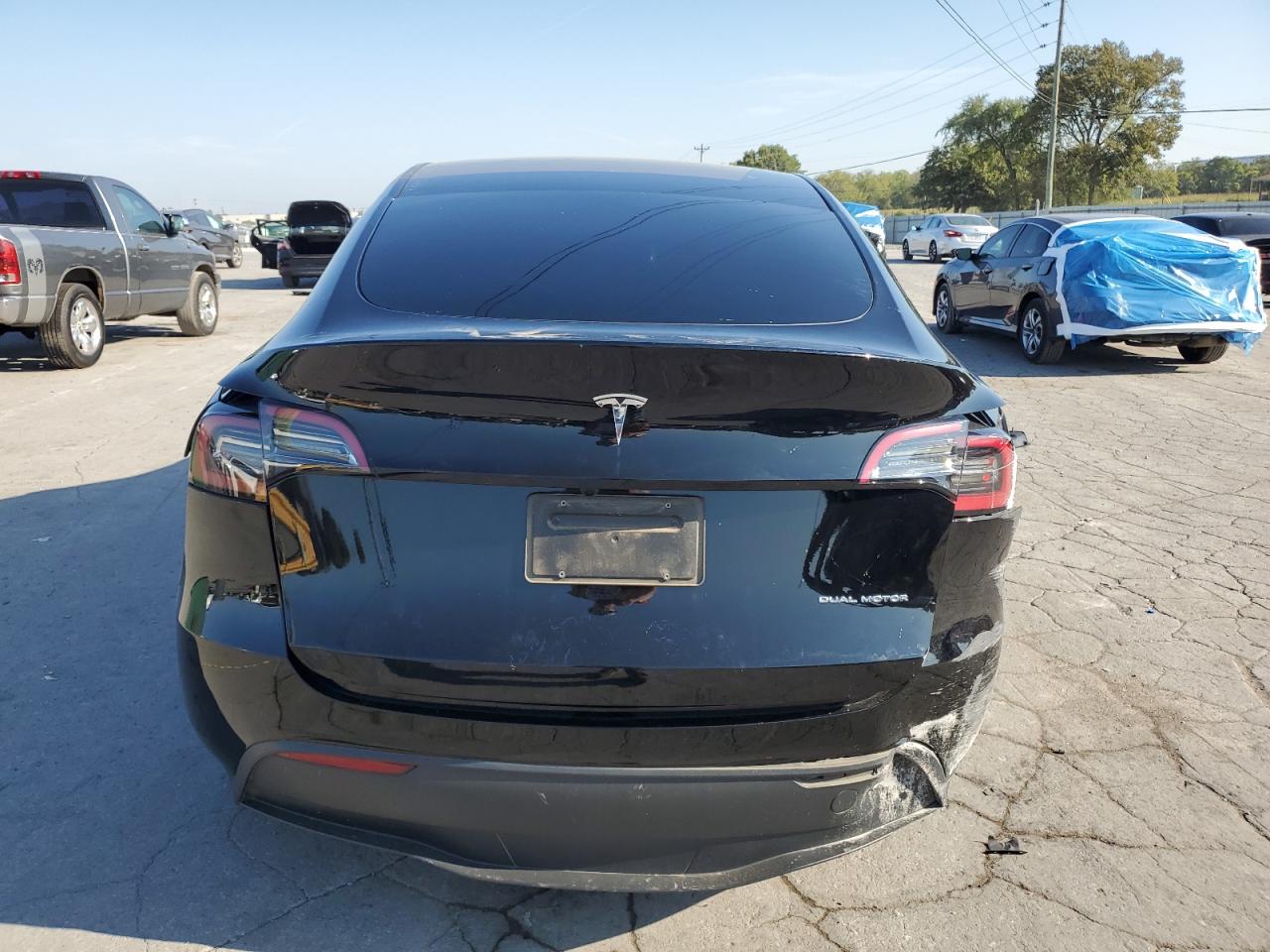 2024 Tesla Model Y VIN: 7SAYGDEE8RA242026 Lot: 81658095