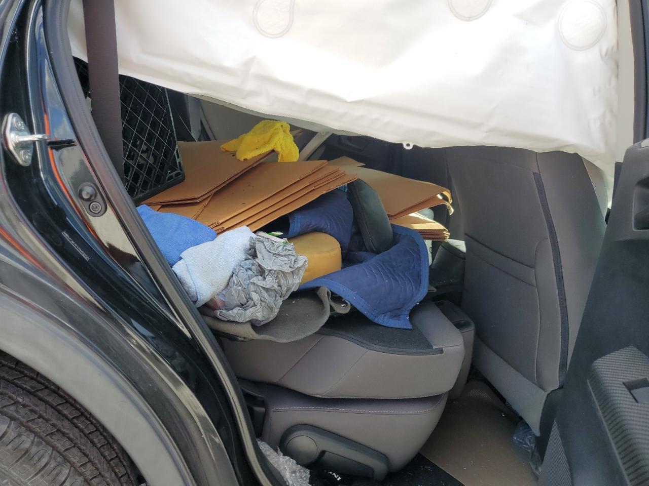 2013 Toyota Rav4 Xle VIN: 2T3WFREV7DW068492 Lot: 83815845