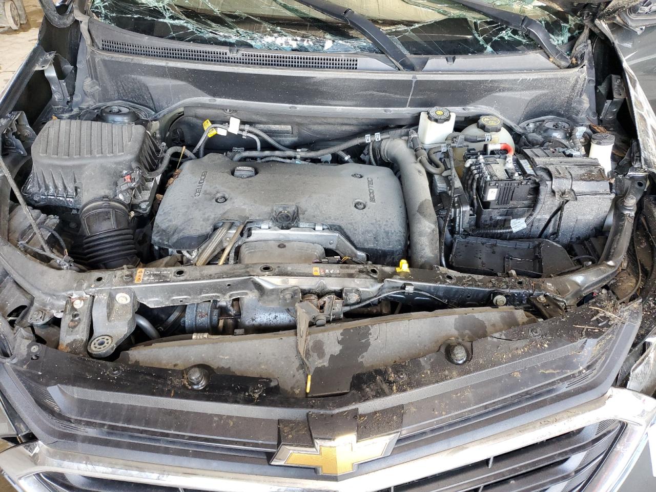 2018 Chevrolet Equinox Lt VIN: 2GNAXKEX9J6294774 Lot: 81403785