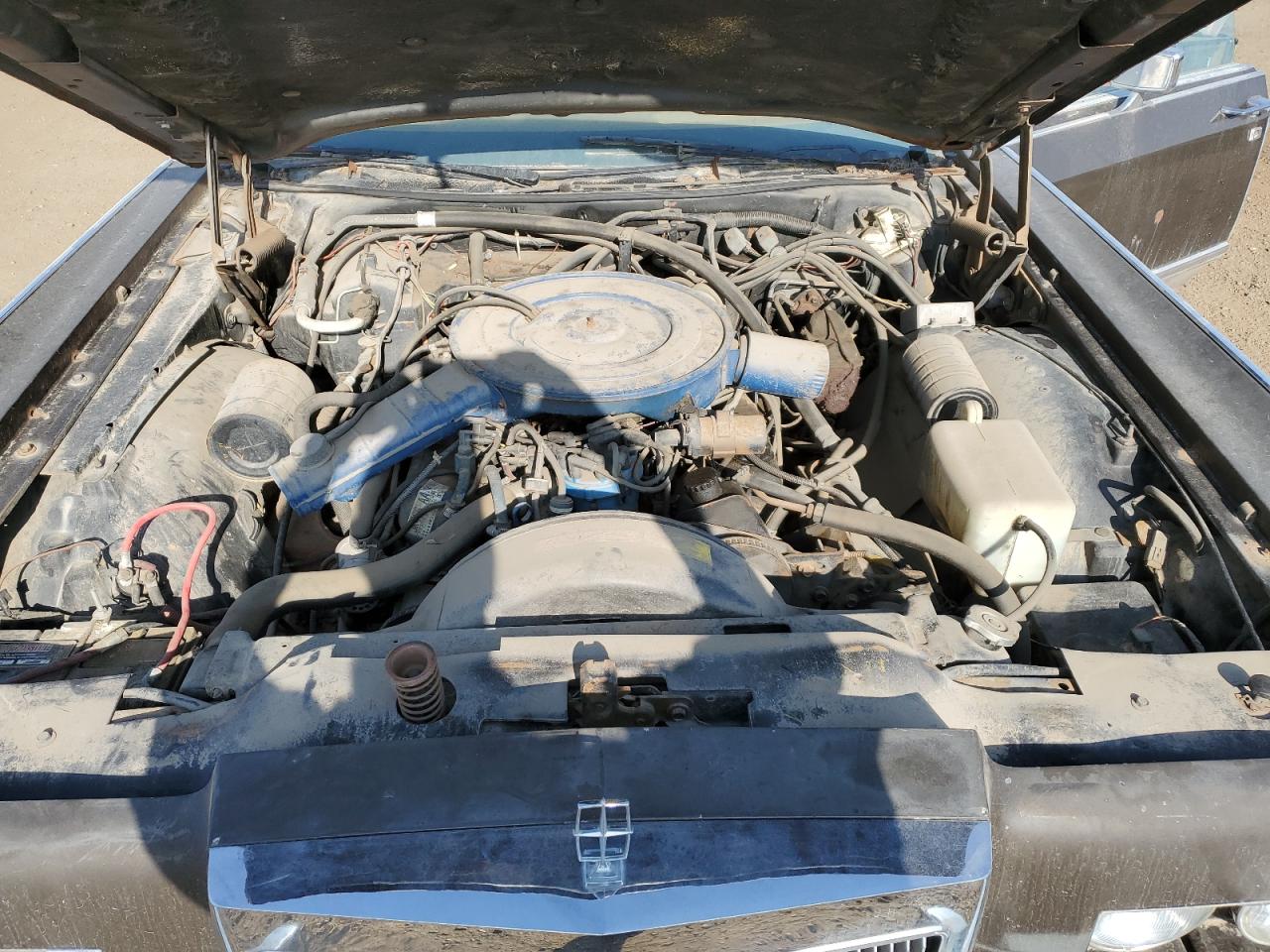 1978 Lincoln Continentl VIN: 8Y82A800260 Lot: 81602785