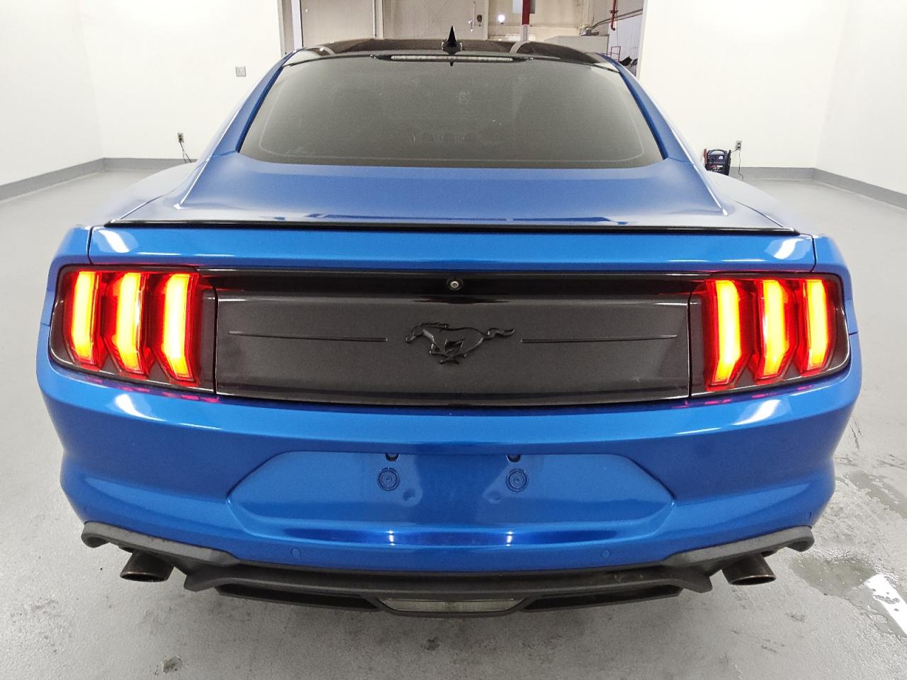 2020 Ford Mustang VIN: 1FA6P8TH4L5183020 Lot: 81164355