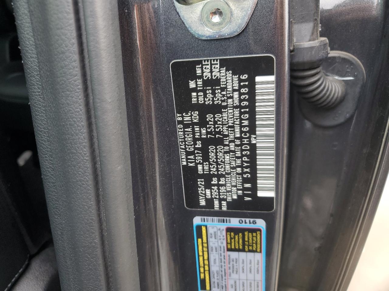 2021 Kia Telluride Ex VIN: 5XYP3DHC6MG193816 Lot: 81626275