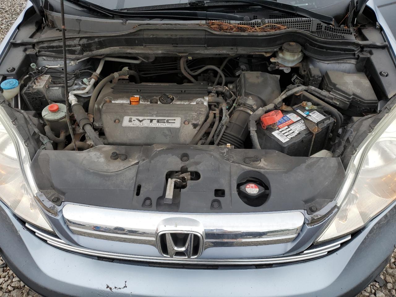 2008 Honda Cr-V Exl VIN: 5J6RE38738L002020 Lot: 71497125