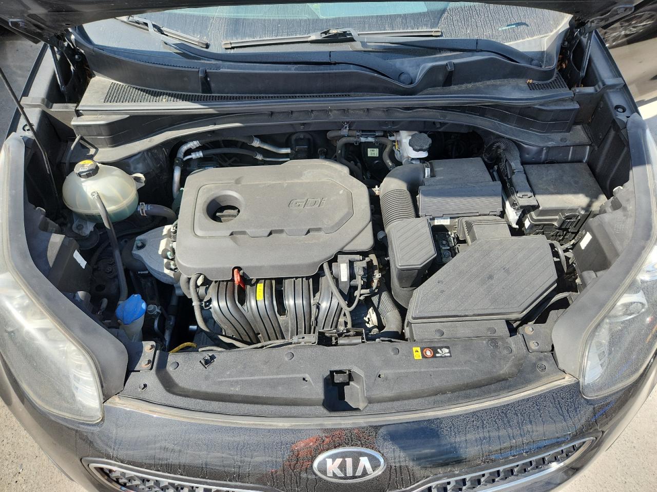 2018 Kia Sportage Lx VIN: KNDPM3AC6J7445428 Lot: 71147835