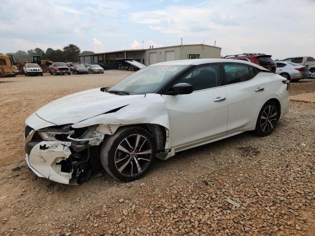 NISSAN MAXIMA 2020 Белы