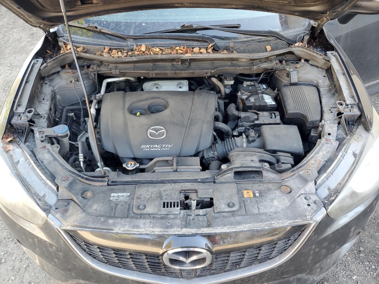 2015 Mazda Cx-5 Touring VIN: JM3KE4CY4F0472558 Lot: 83863975