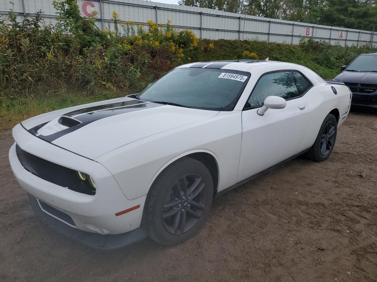 2019 Dodge Challenger Gt VIN: 2C3CDZKG4KH662599 Lot: 81594975