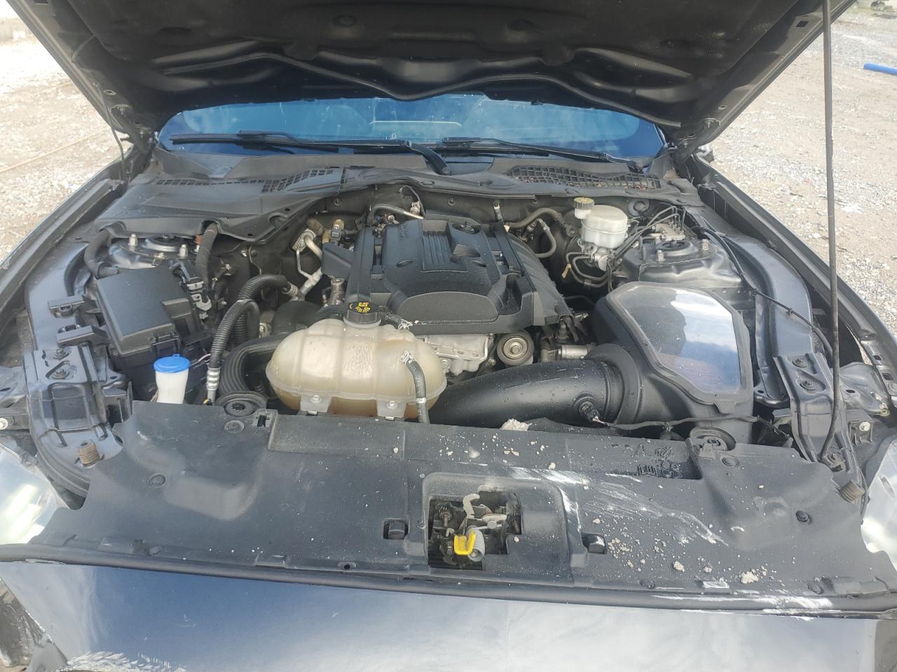 2020 Ford Mustang VIN: 1FA6P8TH4L5161907 Lot: 80991295