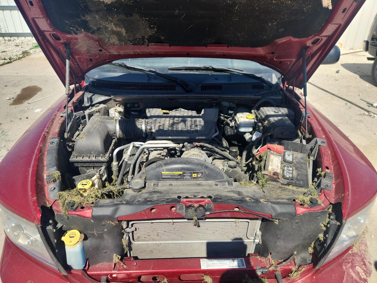 2008 Dodge Dakota Slt VIN: 1D7HW42N28S543020 Lot: 80468895