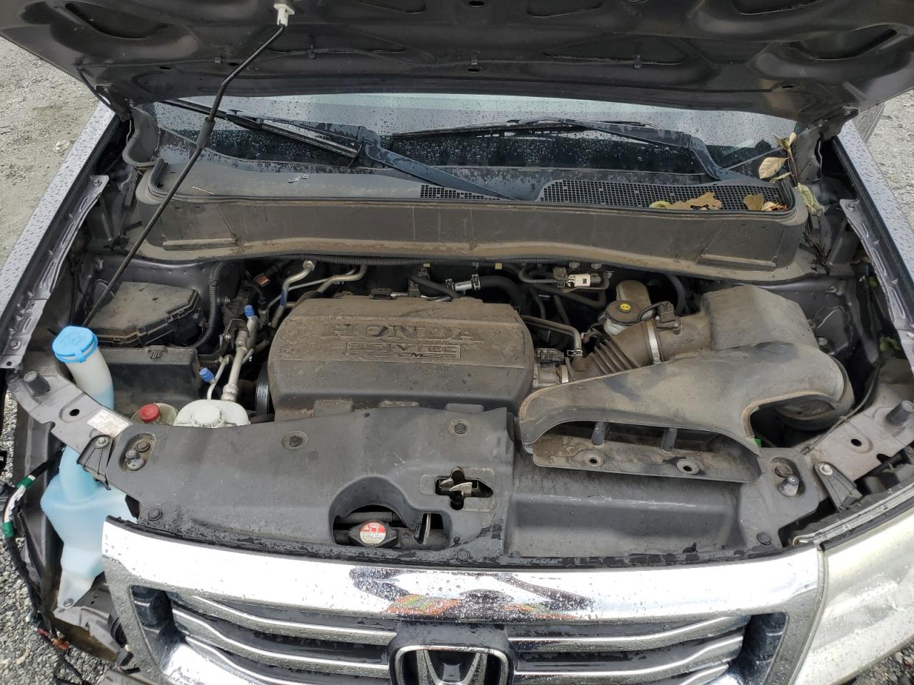 2015 Honda Pilot Exl VIN: 5FNYF4H5XFB049001 Lot: 81849275