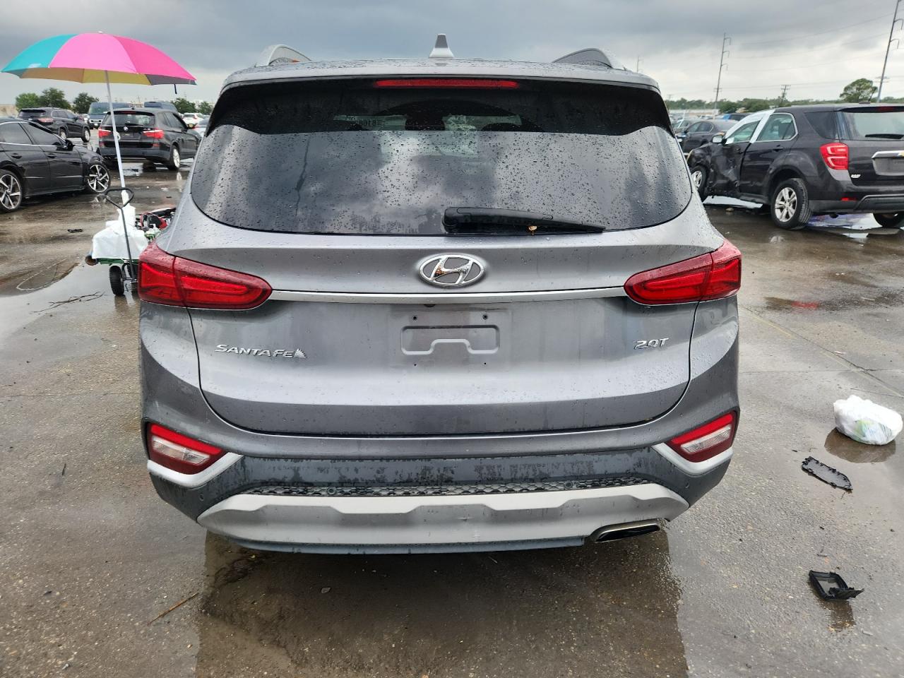 2019 Hyundai Santa Fe Limited VIN: 5NMS53AAXKH116764 Lot: 81682785