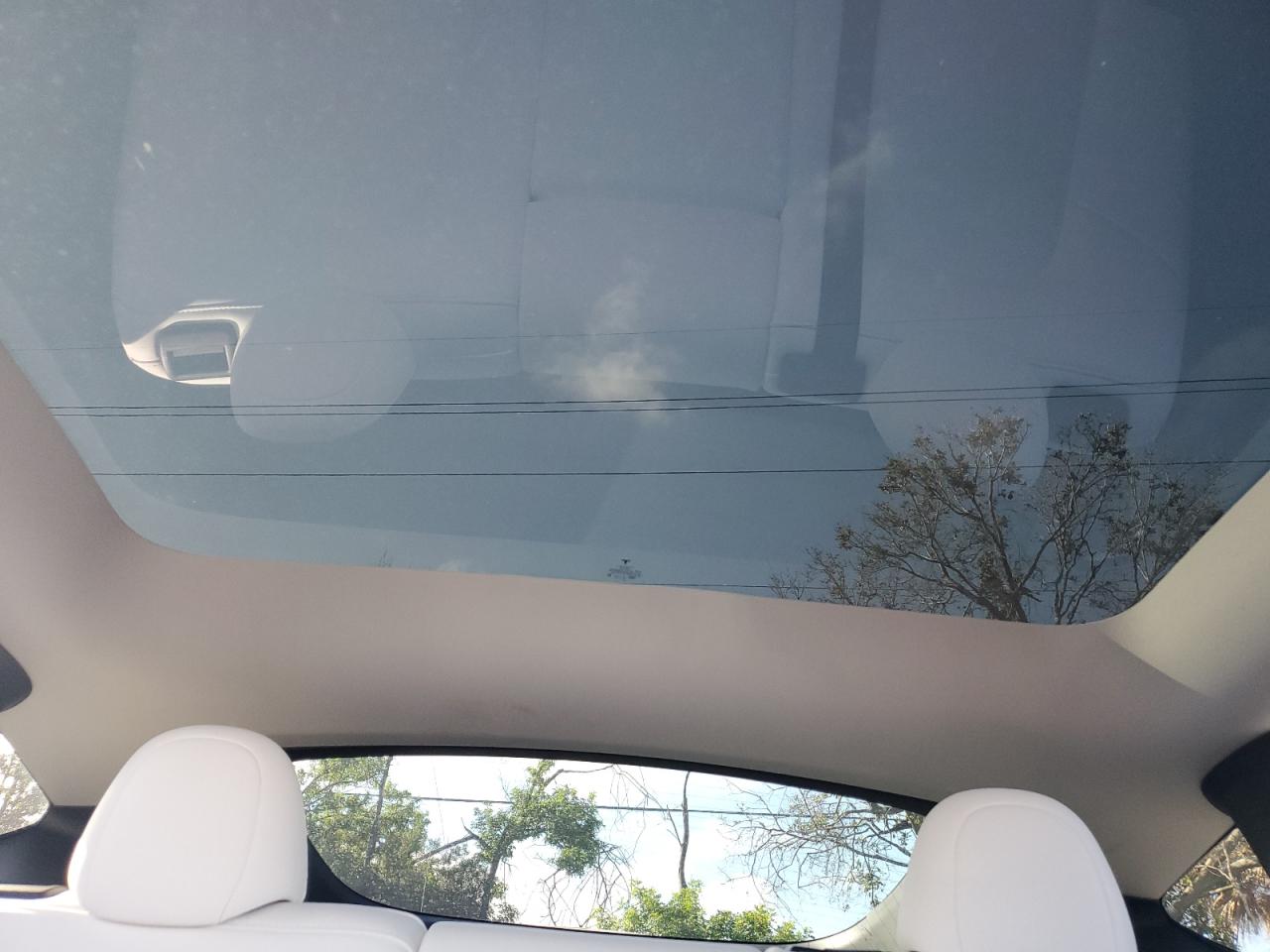 2024 Tesla Model Y VIN: 7SAYGDEE6RA319993 Lot: 84586865