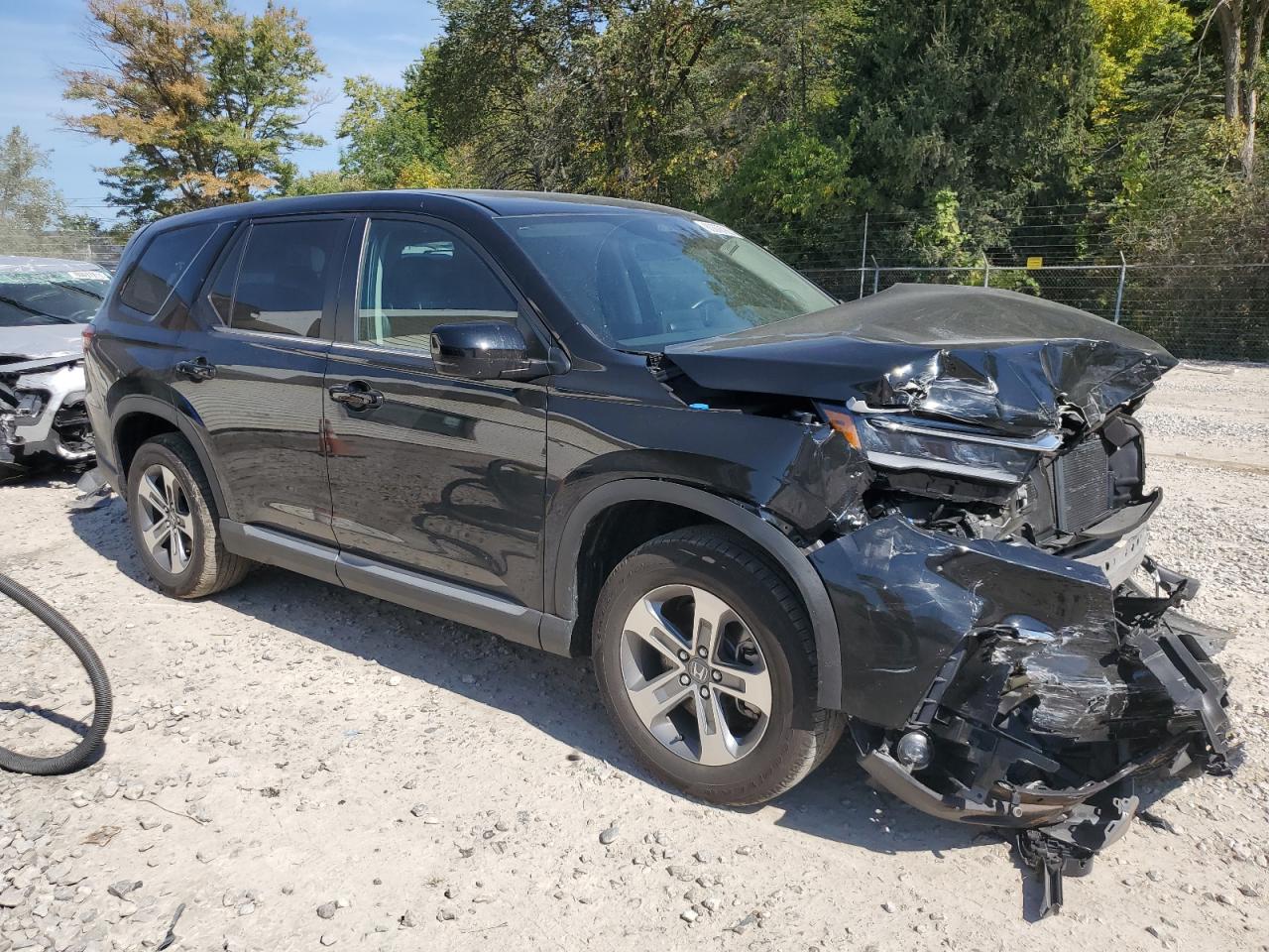 2023 Honda Pilot Exl VIN: 5FNYG1H47PB024254 Lot: 80876785