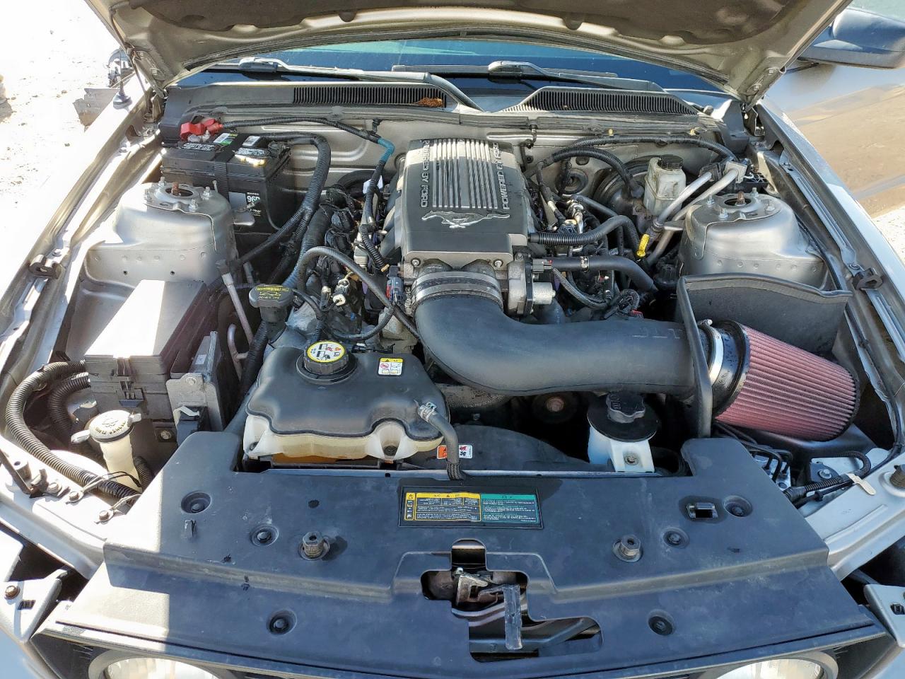 2009 Ford Mustang Gt VIN: 1ZVHT82H195106031 Lot: 81744055