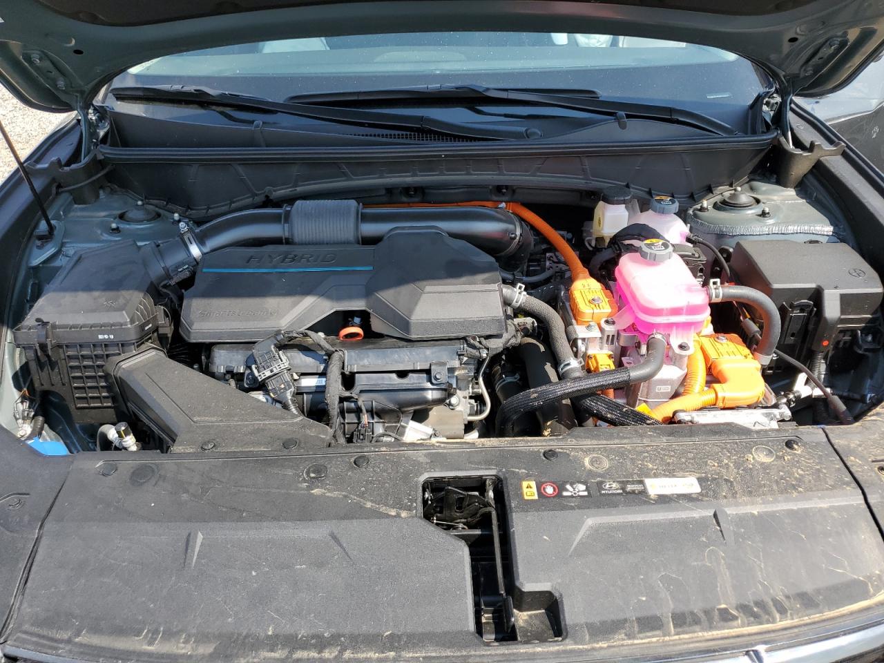 2023 Hyundai Tucson Limited VIN: KM8JECA10PU118417 Lot: 81398765