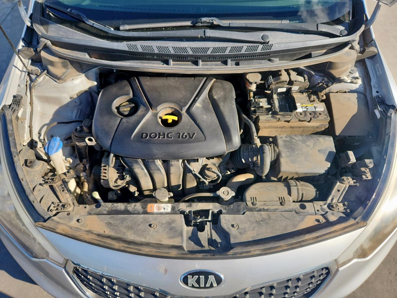 2015 Kia Forte Lx VIN: KNAFK4A61F5304655 Lot: 81546685